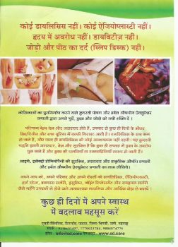 English Pamplet2.jpg  