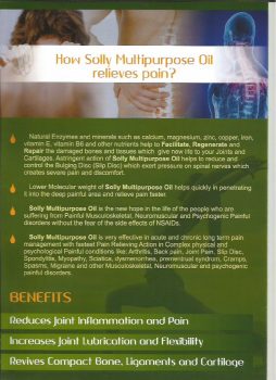 Solly Brochure2.jpg  