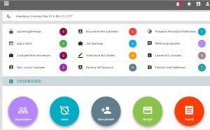 Officekit-HR Dashboard.jpeg  